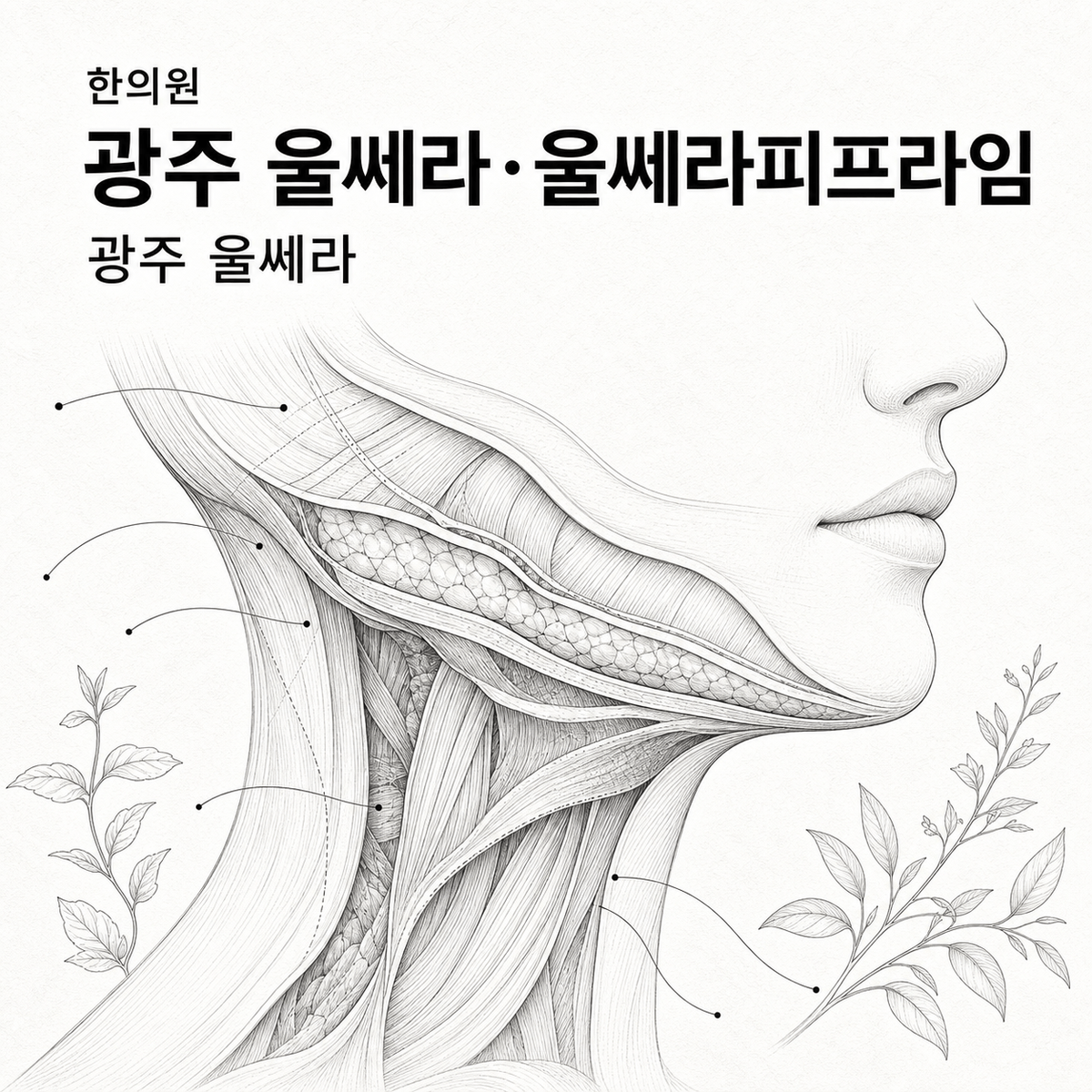 광주 한의원 울쎄라·울쎄라피프라임 핵심 정보 이미지
