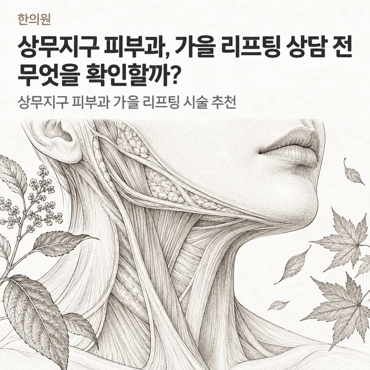 광주 상무지구 피부과, 가을 리프팅 상담 전 무엇을 확인할까 핵심 정보 이미지