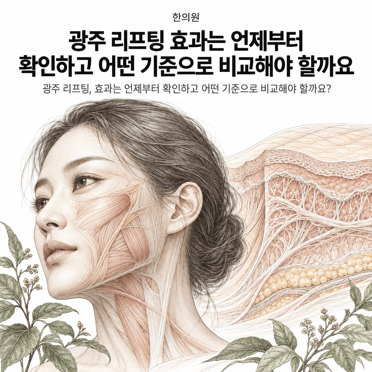 광주 한의원 리프팅 효과는 언제부터 확인하고 어떤 기준으로 비교해야 할까요 핵심 정보 이미지